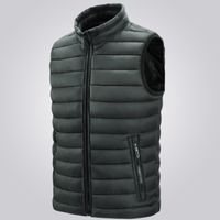 Gray Vest