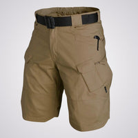 Brown Shorts
