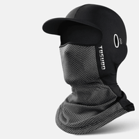 Gray Balaclava
