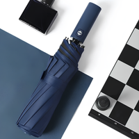 Blue Umbrella